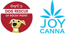 Barb's Dog Rescue - Joycanna